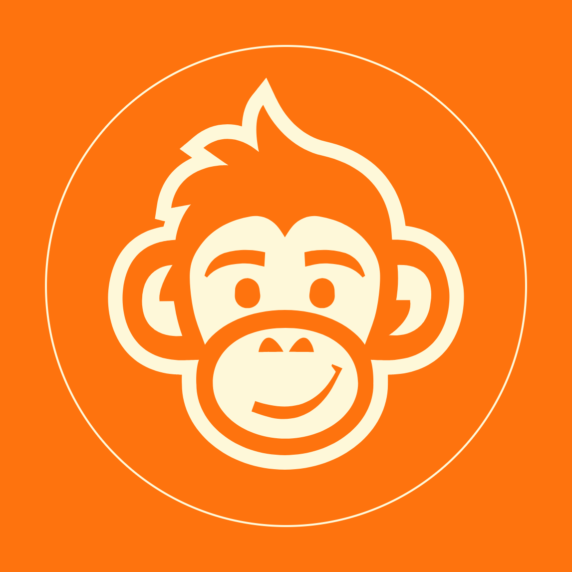 Monkey Sox Orange