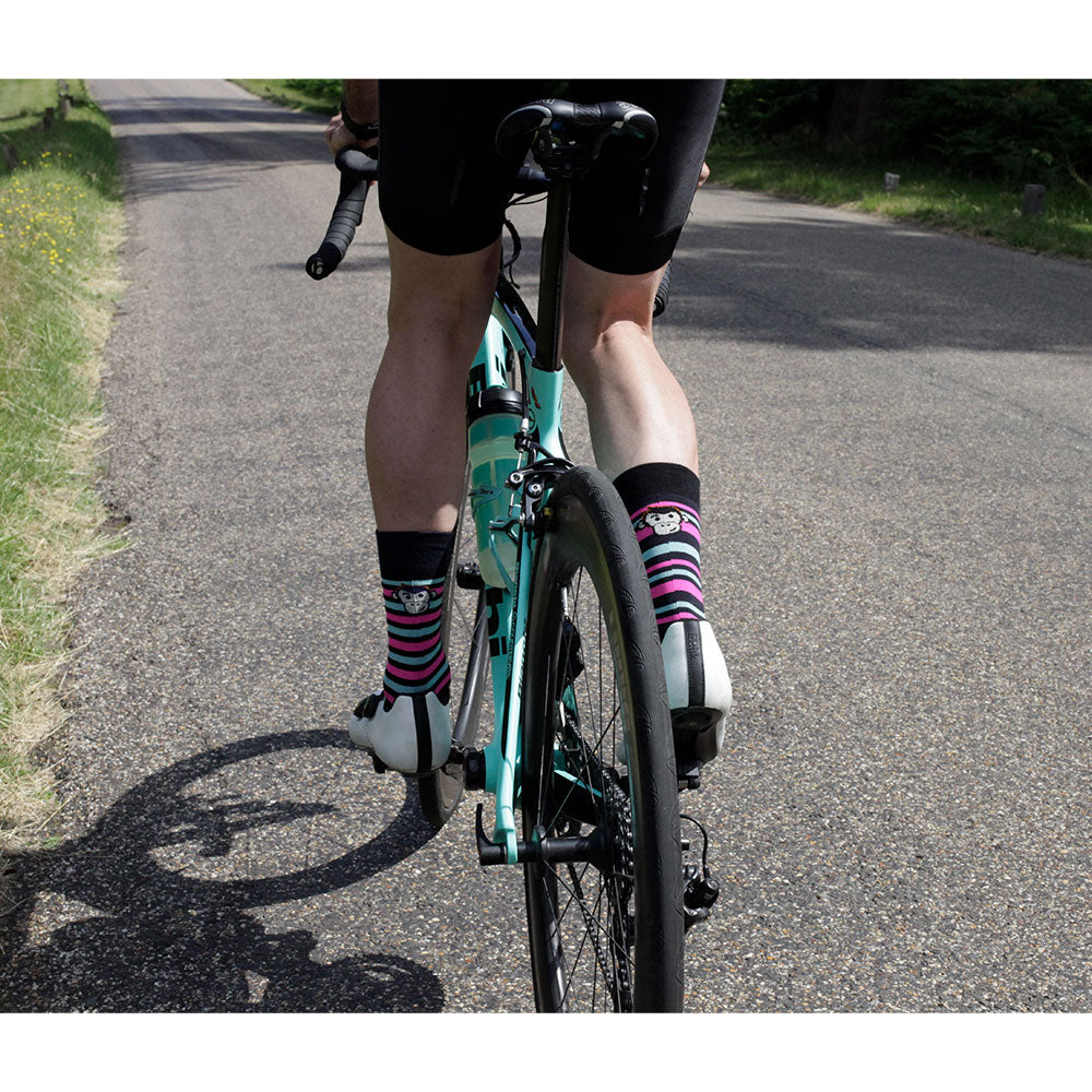 ALPINE MERINO SPORTS SOCKS: PINK + TURQUOISE
